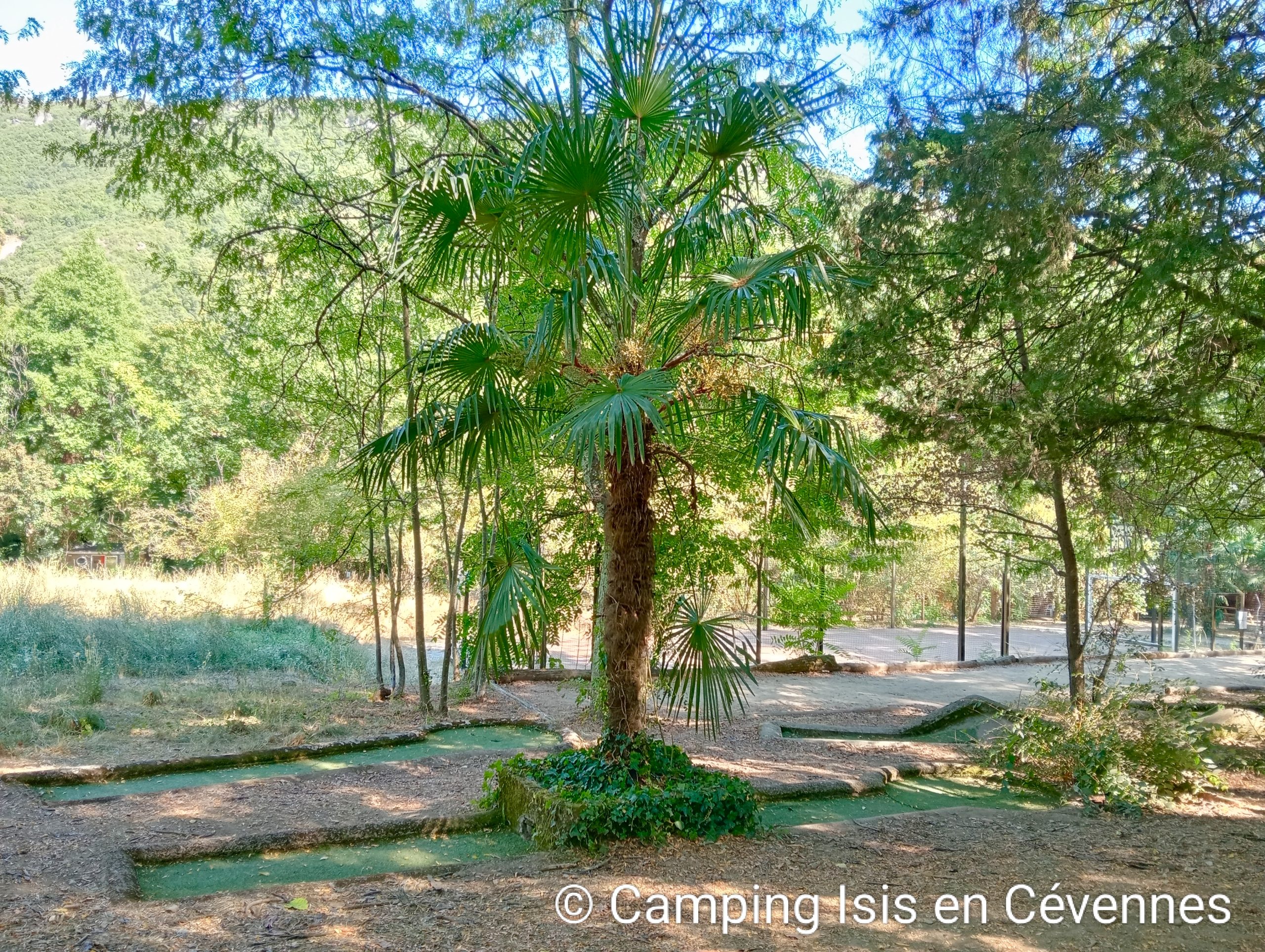 Faites un tour au minigolf du camping Isis en Cévennes, au coeur de la nature
